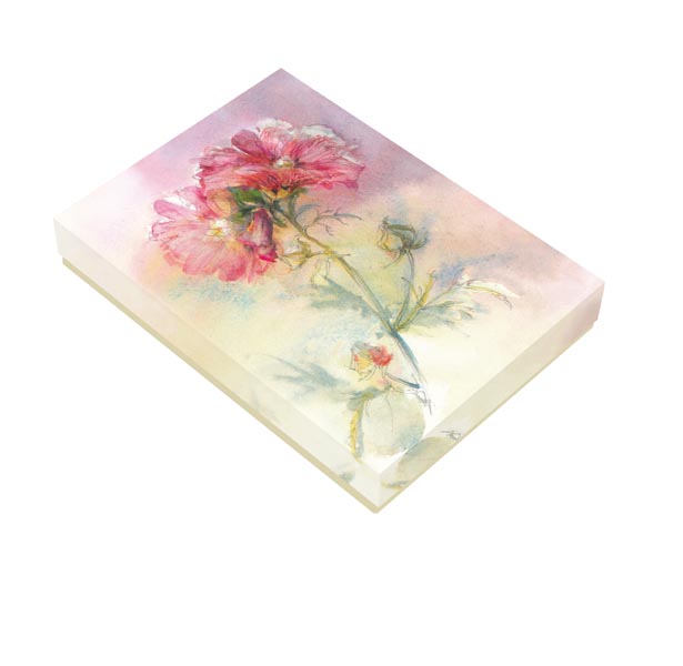 Edel-Kartenbox - Beeindruckende Schönheiten