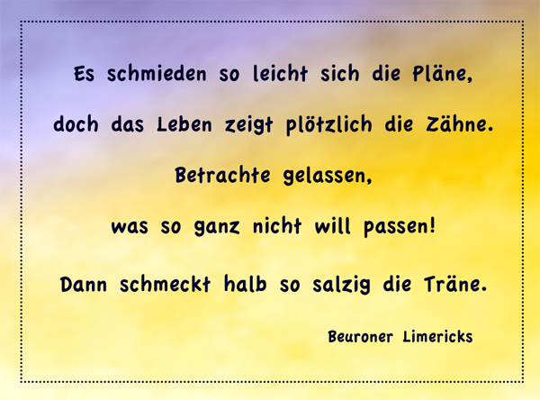 Magnet, Limerick "Pläne schmieden"