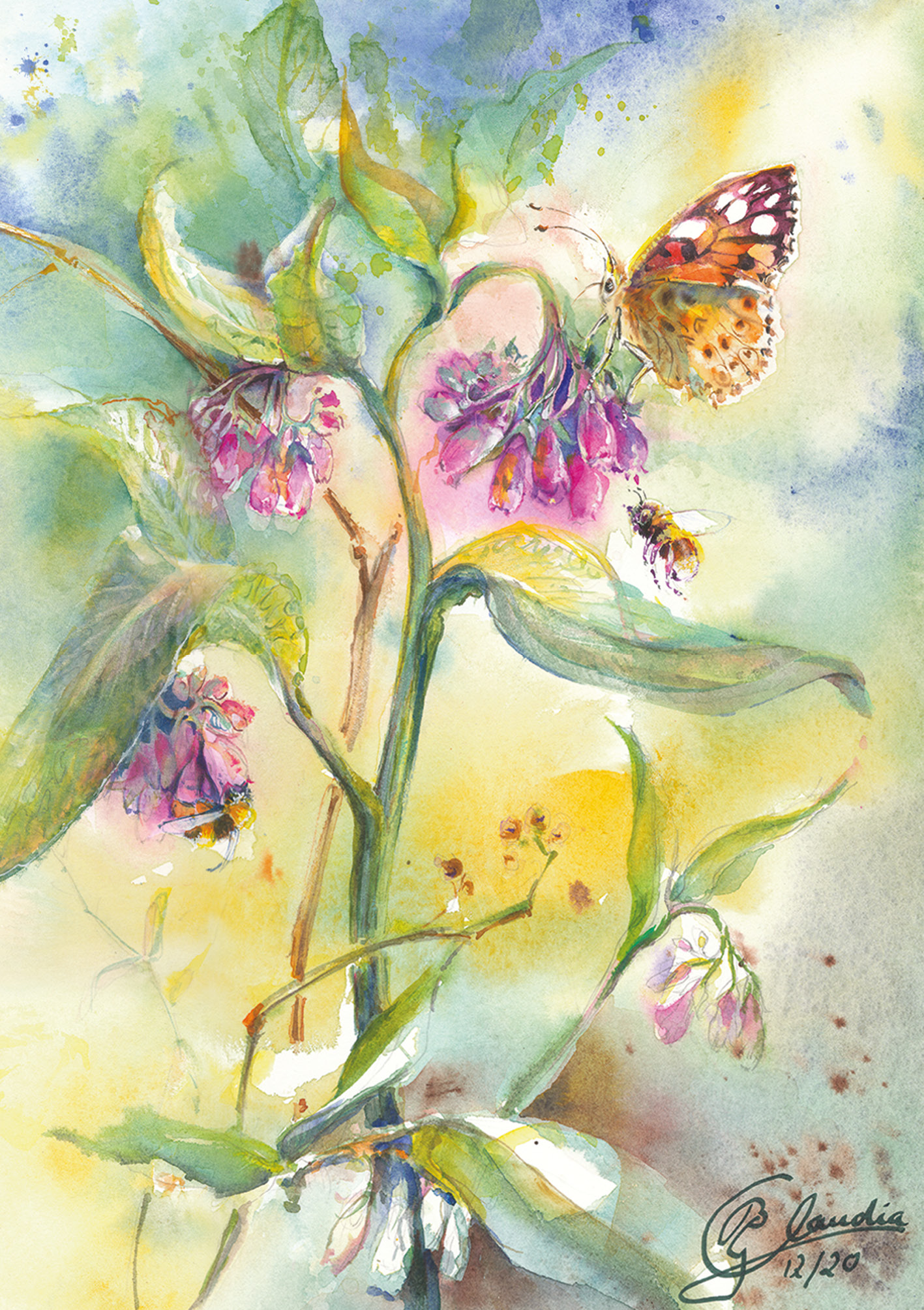 Klappkarte - Beinwell