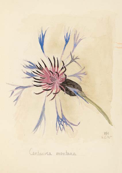 Klappkarte - Flockenzauber