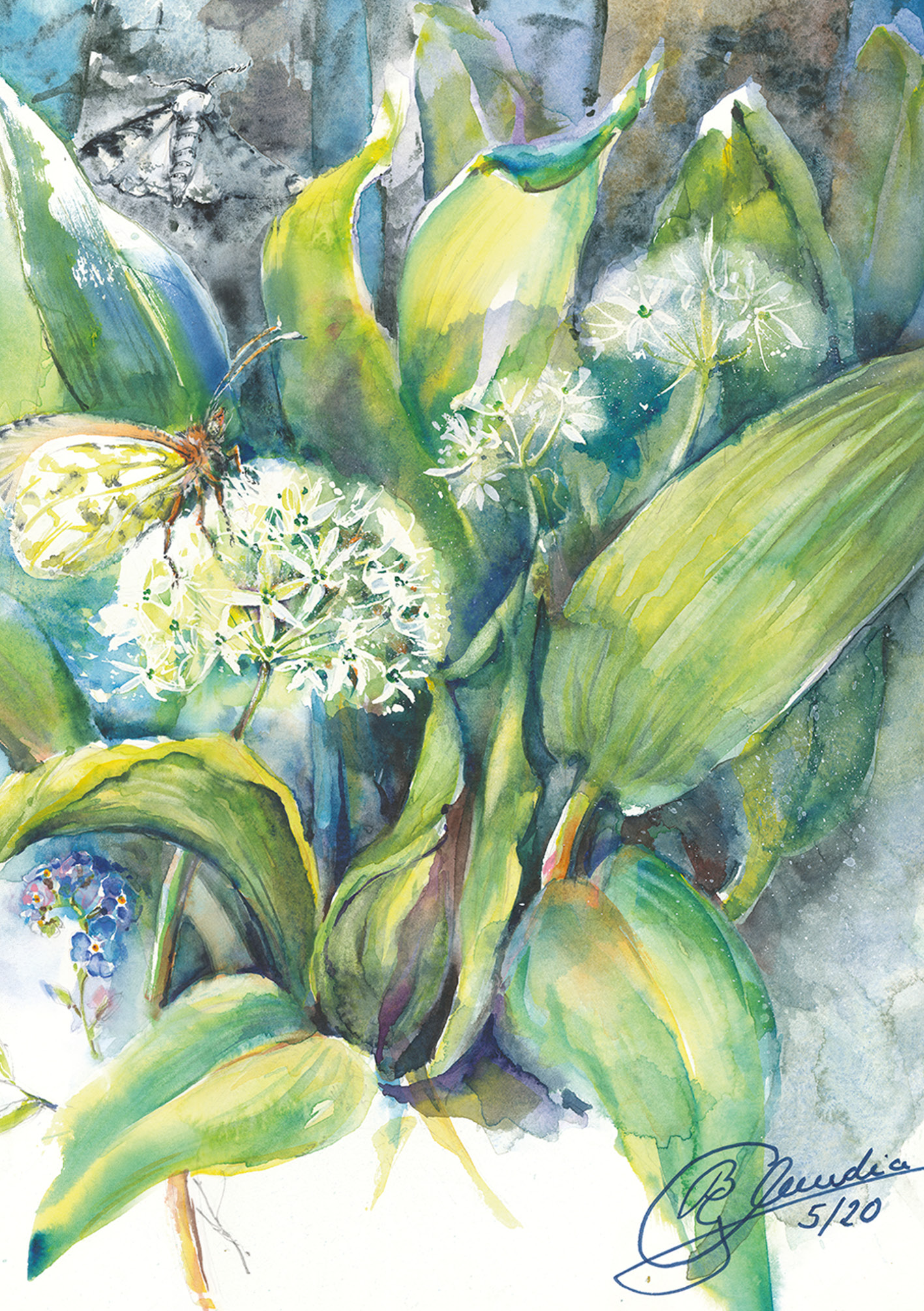 Klappkarte - Bärlauch