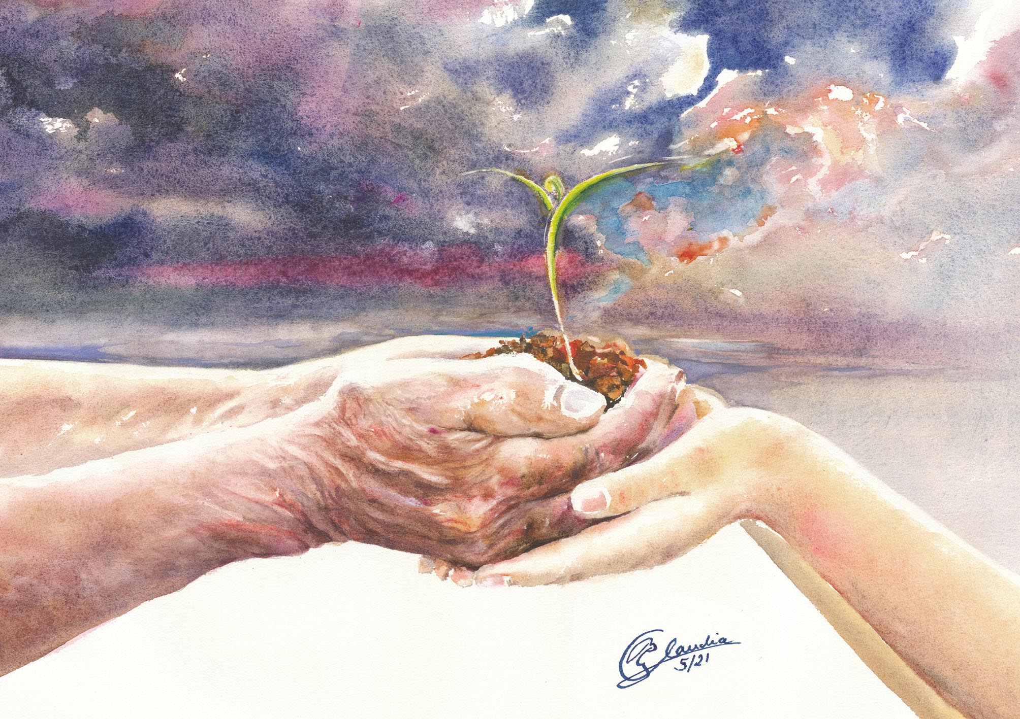 Klappkarte - Gottes Schöpfung bewahren