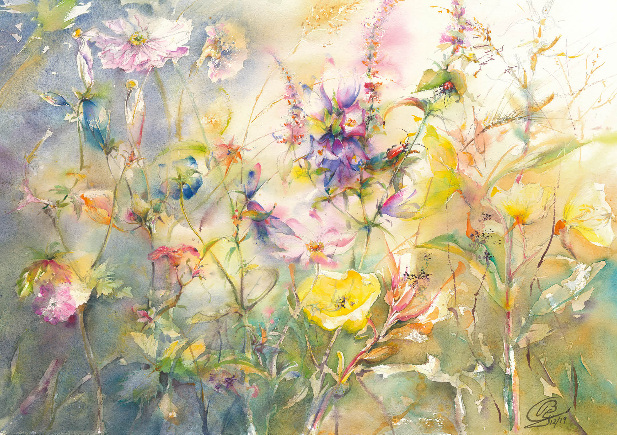 Blumensamen-Karte - Wildblumenwiese