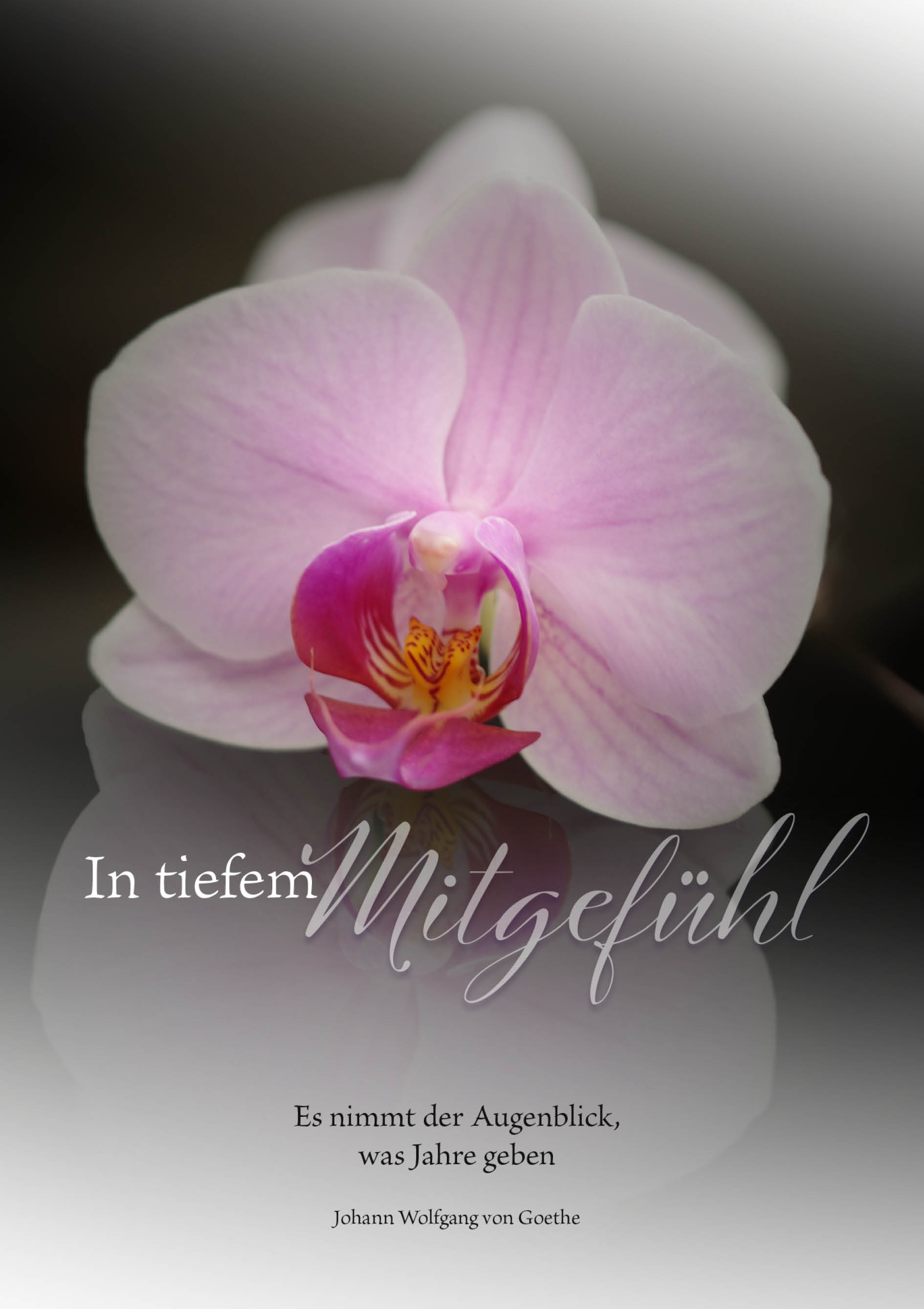 Kunst-Klappkarte - Stille Grüße