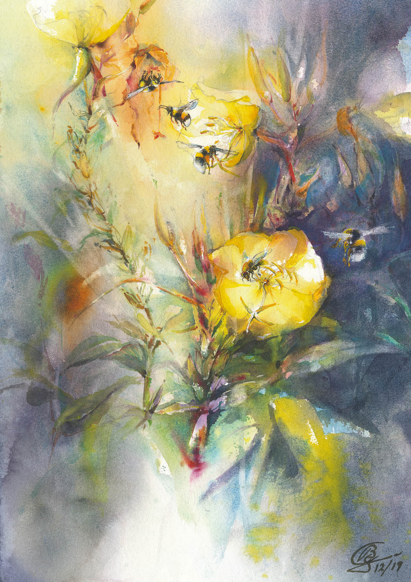 Blumensamen-Karte - Nachtkerzen und Besucher