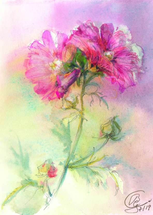 Klappkarte - Rosen-Malve