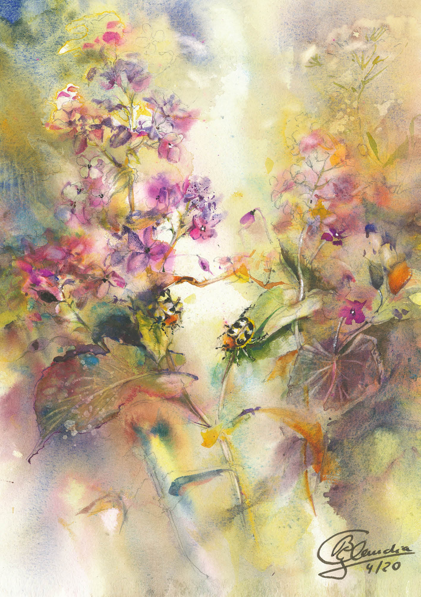 Blumensamen-Karte - Zwei Pinselkäfer