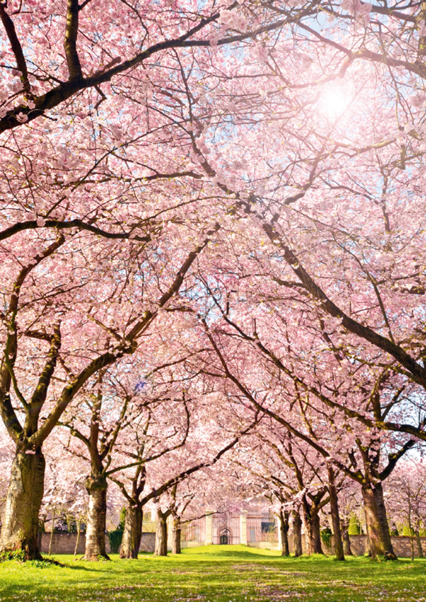 Klappkarte - Allee des Glücks