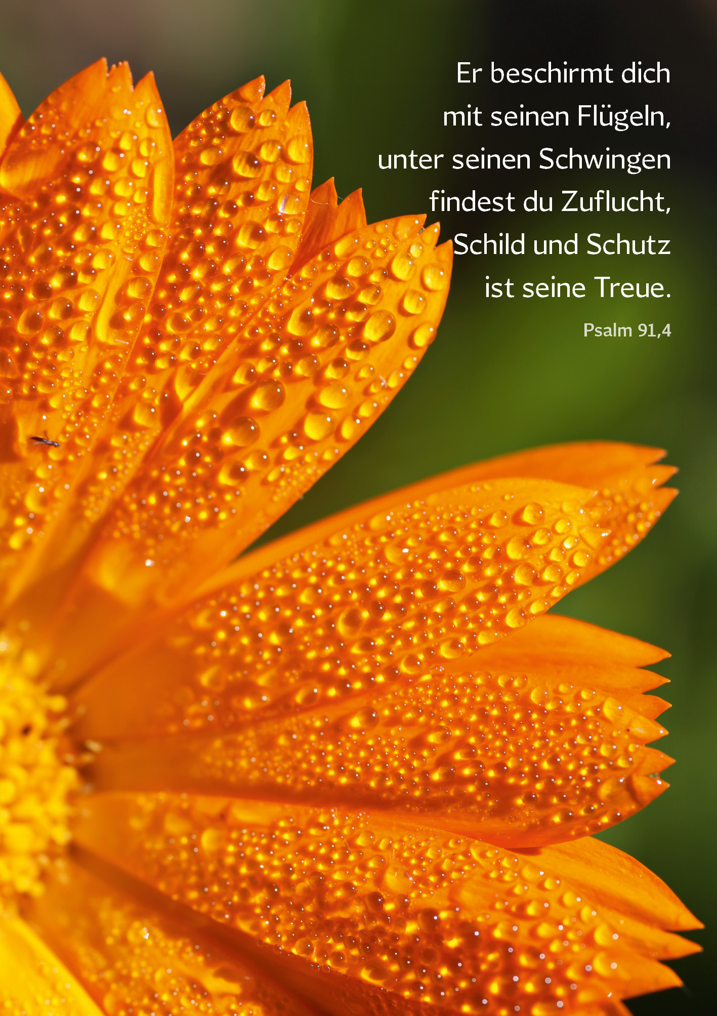 Klappkarte - Mit neuen Erwartungen