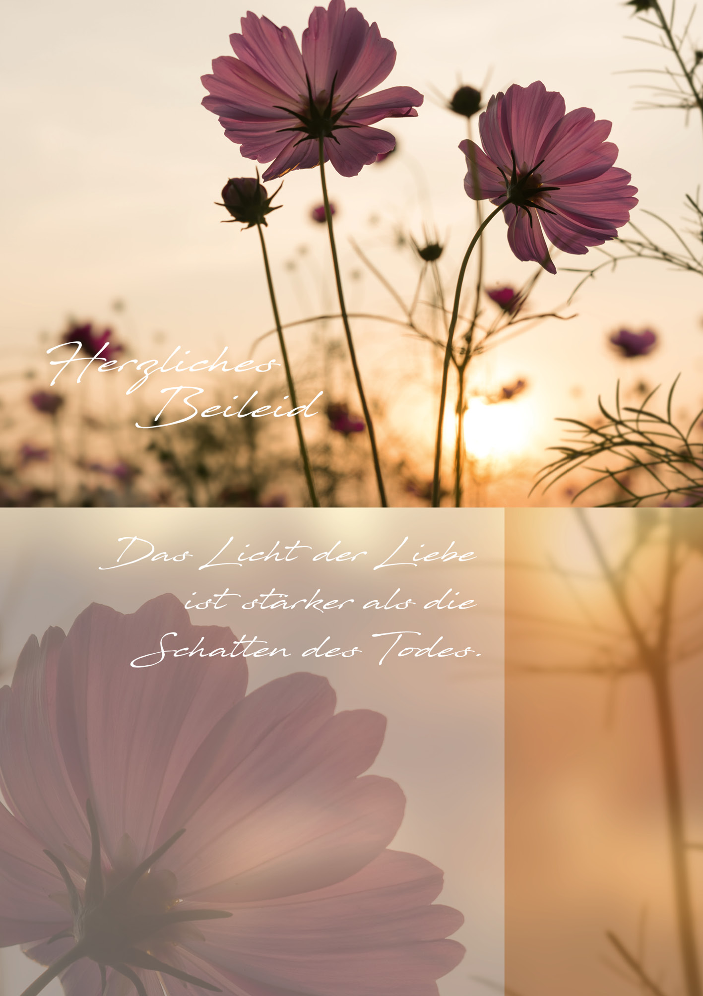 Kunst-Klappkarte - Blüten im Sonnenlicht